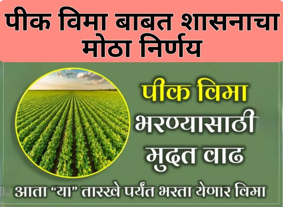 Pmfby kharif 2020 maharashtra list पीक विमा बाबत शासनाचा मोठा निर्णय, पीक विमा भरण्यास  मुदतवाढ, आता या तारखेपर्यंत पीक विमा भरता येणार