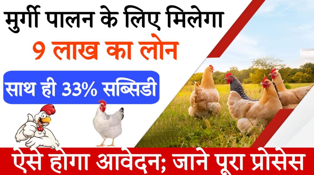 poultry farming project मुर्गी पालन के लिए मिल रहा 9 लाख का लोन, 33% सब्सिडी के साथ