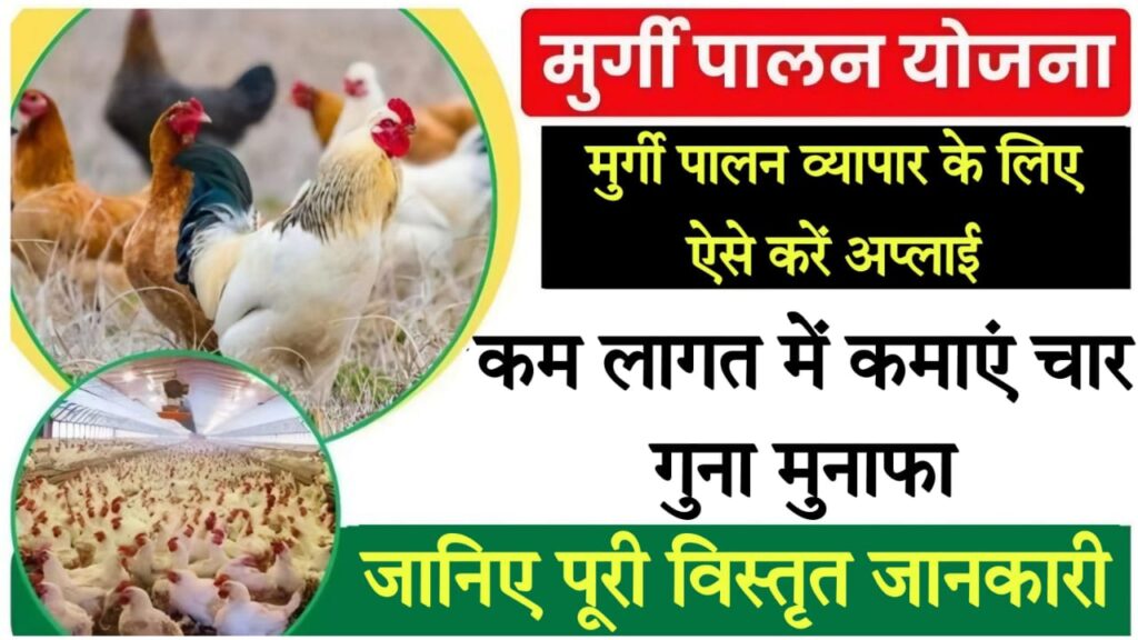 ec poultry farm कम लागत में कमाएं चार गुना मुनाफा,